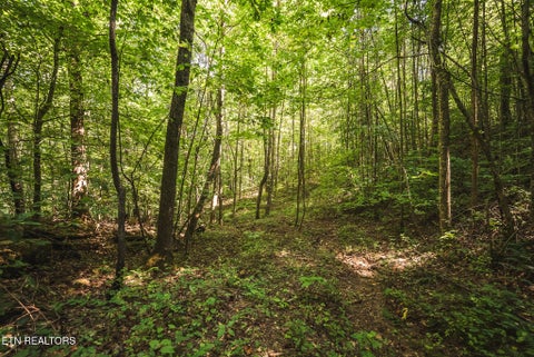 Tiny photo for Watson Hollow Rd, Speedwell, TN 37870 (MLS # 1354884)