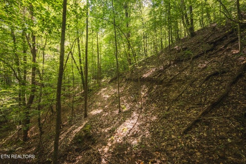 Tiny photo for Watson Hollow Rd, Speedwell, TN 37870 (MLS # 1354884)