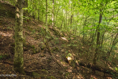 Tiny photo for Watson Hollow Rd, Speedwell, TN 37870 (MLS # 1354884)