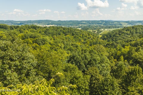 Tiny photo for Watson Hollow Rd, Speedwell, TN 37870 (MLS # 1354884)