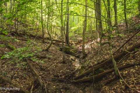 Tiny photo for Watson Hollow Rd, Speedwell, TN 37870 (MLS # 1354884)