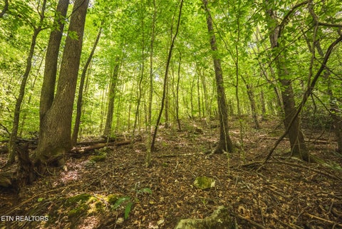 Tiny photo for Watson Hollow Rd, Speedwell, TN 37870 (MLS # 1354884)