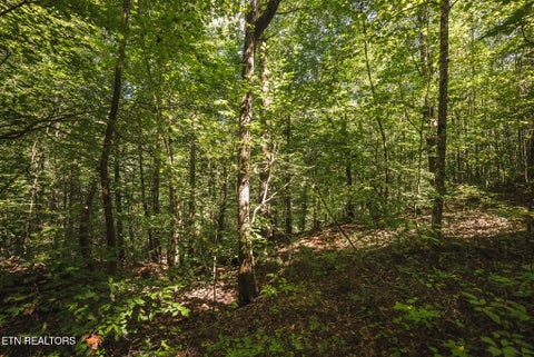 Tiny photo for Watson Hollow Rd, Speedwell, TN 37870 (MLS # 1354884)