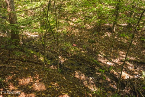 Tiny photo for Watson Hollow Rd, Speedwell, TN 37870 (MLS # 1354884)