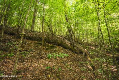 Tiny photo for Watson Hollow Rd, Speedwell, TN 37870 (MLS # 1354884)
