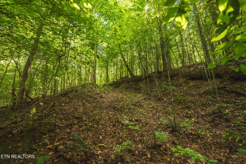 Tiny photo for Watson Hollow Rd, Speedwell, TN 37870 (MLS # 1354884)