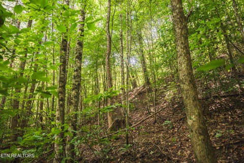 Tiny photo for Watson Hollow Rd, Speedwell, TN 37870 (MLS # 1354884)