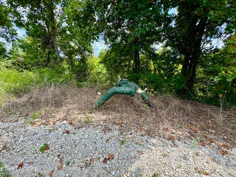 Tiny photo for Stanley Creek Rd, Winfield, TN 37892 (MLS # 1327839)