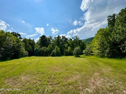 Tiny photo for Stanley Creek Rd, Winfield, TN 37892 (MLS # 1327839)