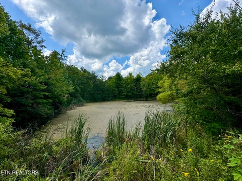 Tiny photo for Stanley Creek Rd, Winfield, TN 37892 (MLS # 1327839)