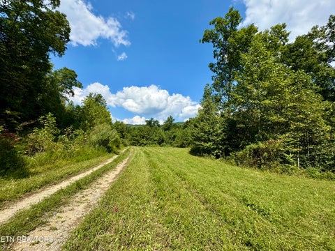 Tiny photo for Stanley Creek Rd, Winfield, TN 37892 (MLS # 1327839)