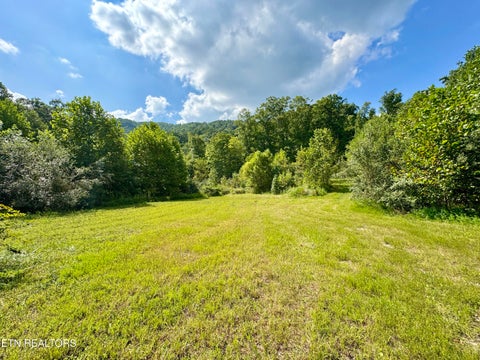 Tiny photo for Stanley Creek Rd, Winfield, TN 37892 (MLS # 1327839)
