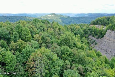 Tiny photo for Stanley Creek Rd, Winfield, TN 37892 (MLS # 1327839)
