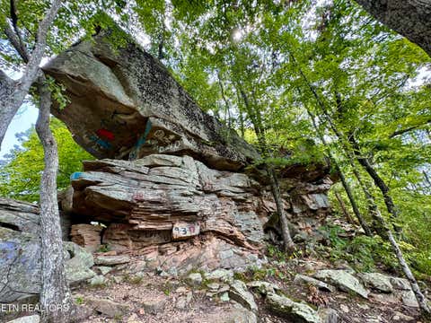 Tiny photo for Stanley Creek Rd, Winfield, TN 37892 (MLS # 1327839)