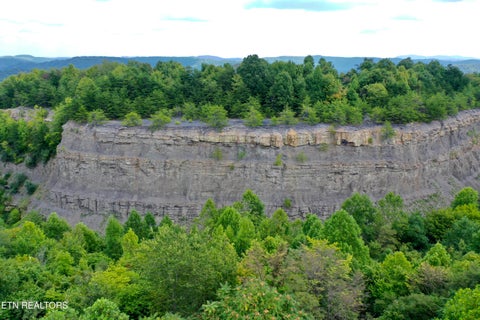 Tiny photo for Stanley Creek Rd, Winfield, TN 37892 (MLS # 1327839)