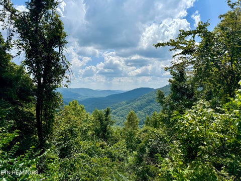Tiny photo for Stanley Creek Rd, Winfield, TN 37892 (MLS # 1327839)
