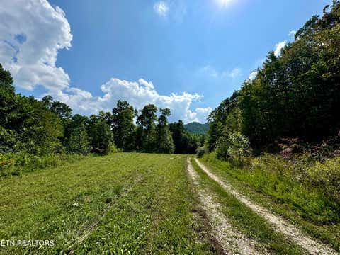 Tiny photo for Stanley Creek Rd, Winfield, TN 37892 (MLS # 1327839)