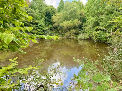 Tiny photo for Stanley Creek Rd, Winfield, TN 37892 (MLS # 1327839)