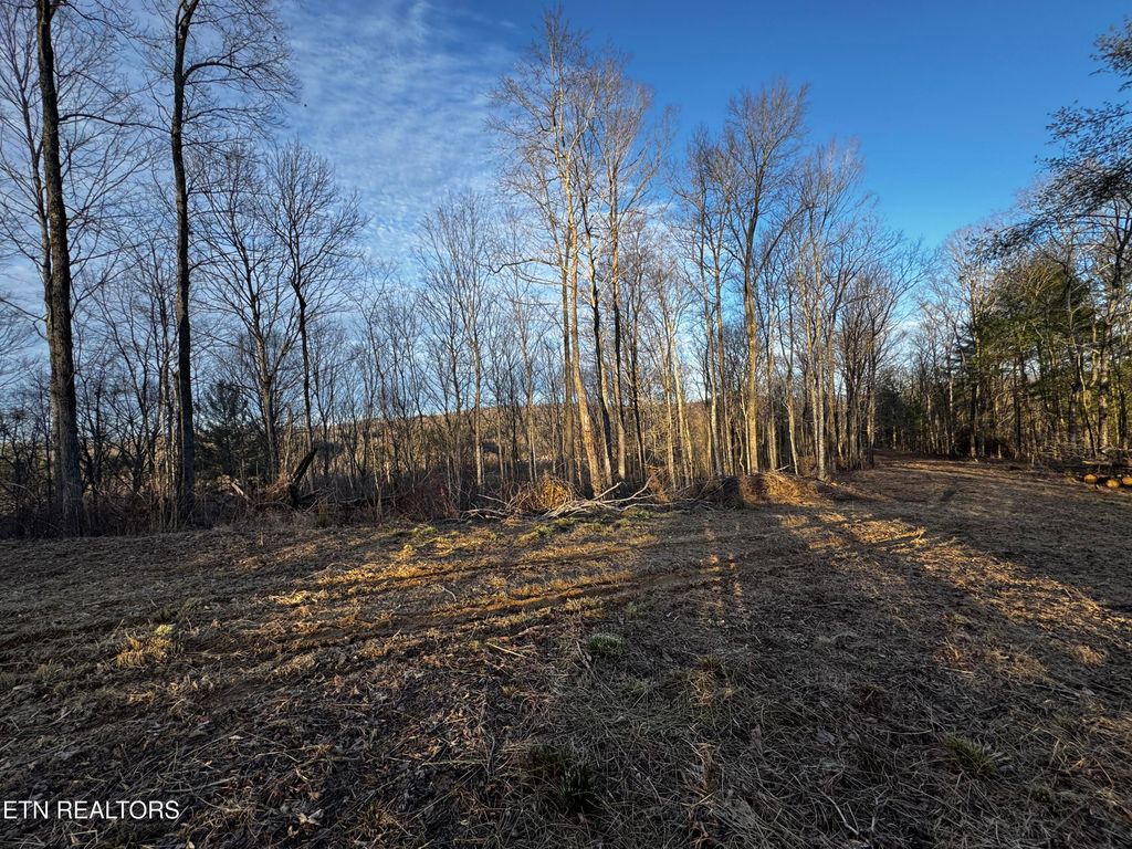 Photo of River Rd, Huntsville, TN 37756 (MLS # 1315659)