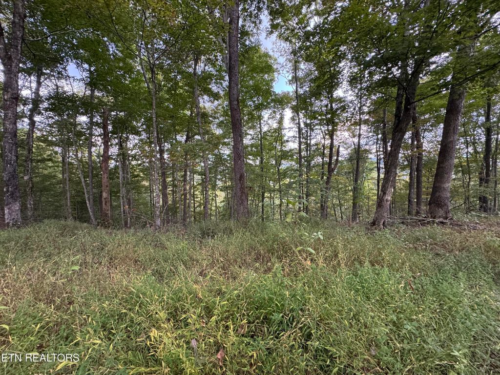 Photo of River Rd, Huntsville, TN 37756 (MLS # 1315659)