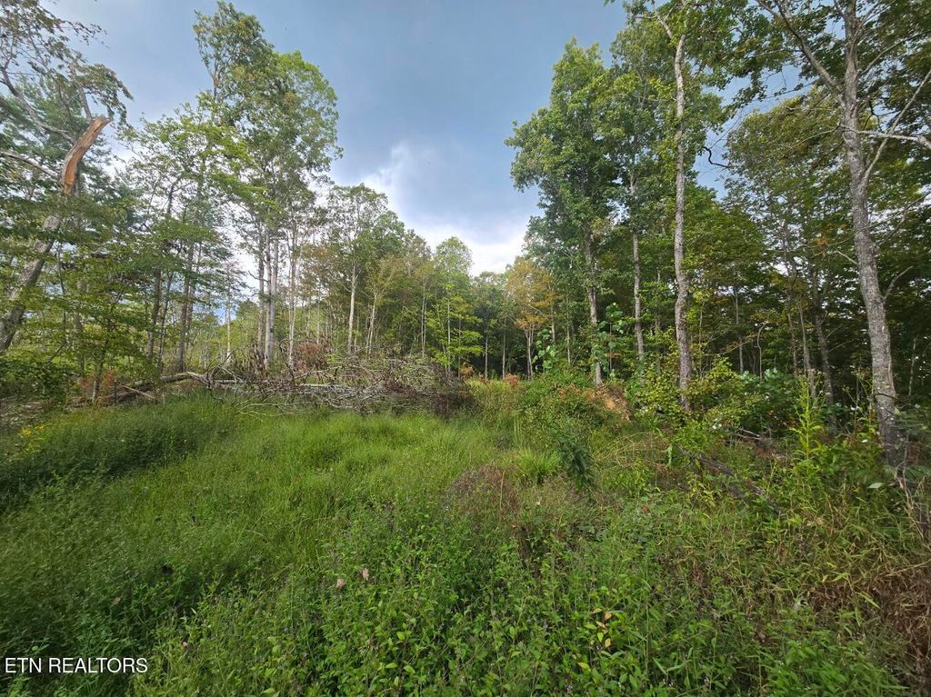 Photo of River Rd, Huntsville, TN 37756 (MLS # 1315659)