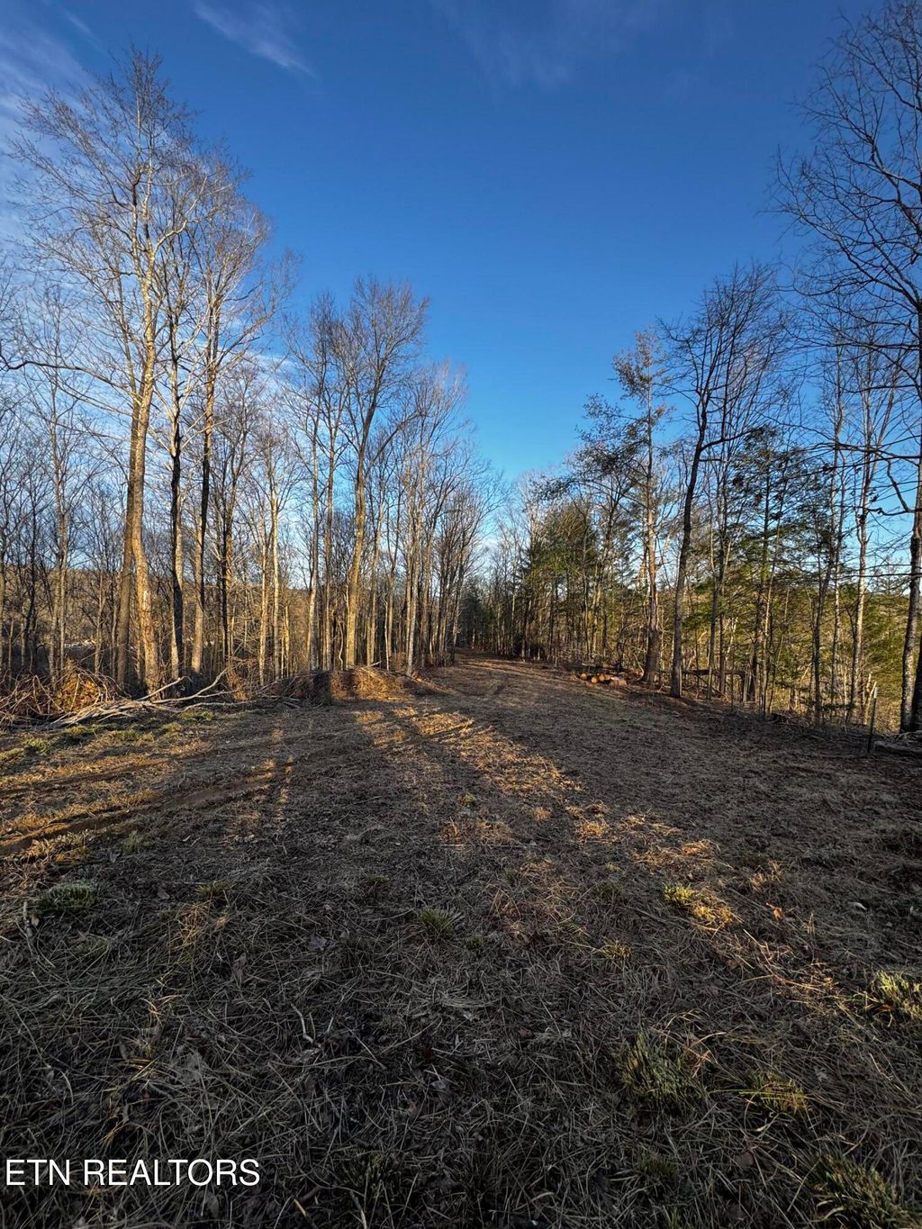 Photo of River Rd, Huntsville, TN 37756 (MLS # 1315659)