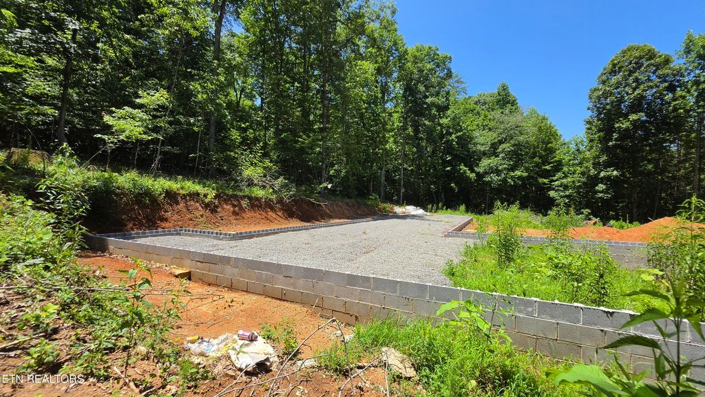 Photo of 240 Haven Way, Lenoir City, TN 37771 (MLS # 1347198)