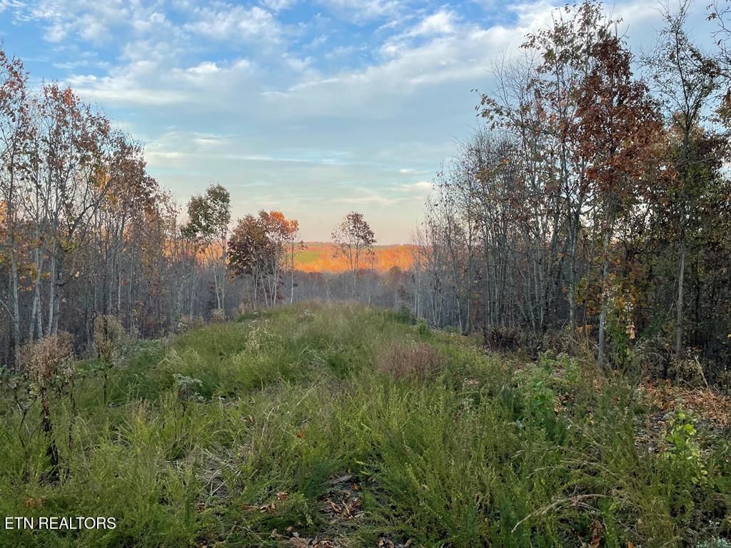 Photo of Overlook Tr #88, Waverly, TN 37185 (MLS # 1340608)