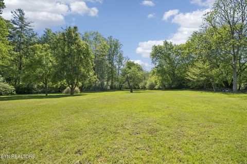 Tiny photo for 123 Greasy Cove Rd, Cosby, TN 37722 (MLS # 1338465)