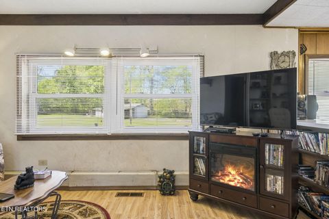 Tiny photo for 123 Greasy Cove Rd, Cosby, TN 37722 (MLS # 1338465)