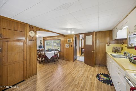 Tiny photo for 123 Greasy Cove Rd, Cosby, TN 37722 (MLS # 1338465)