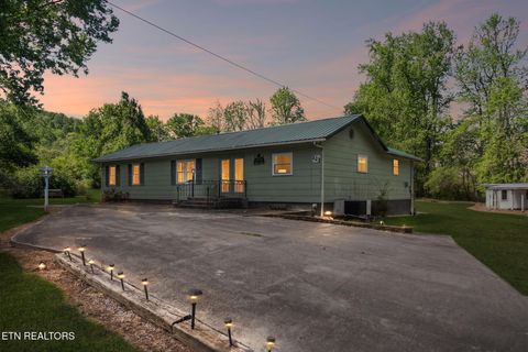 Tiny photo for 123 Greasy Cove Rd, Cosby, TN 37722 (MLS # 1338465)