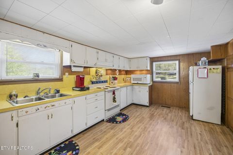 Tiny photo for 123 Greasy Cove Rd, Cosby, TN 37722 (MLS # 1338465)