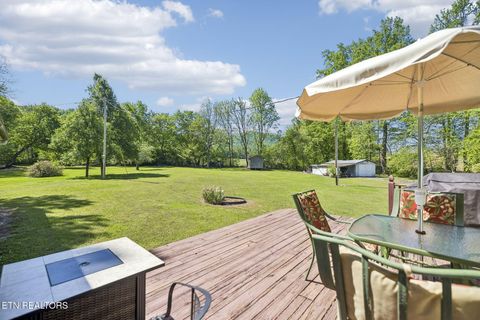 Tiny photo for 123 Greasy Cove Rd, Cosby, TN 37722 (MLS # 1338465)