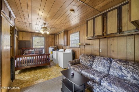 Tiny photo for 123 Greasy Cove Rd, Cosby, TN 37722 (MLS # 1338465)