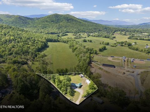 Tiny photo for 123 Greasy Cove Rd, Cosby, TN 37722 (MLS # 1338465)