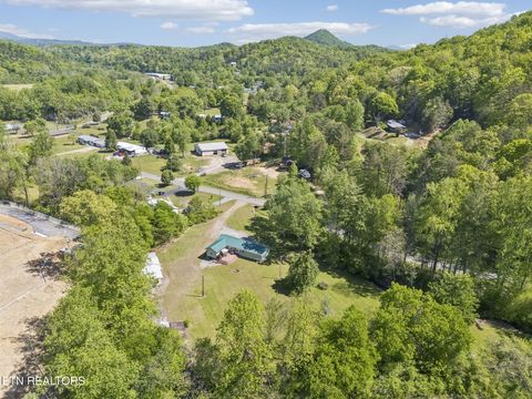 Tiny photo for 123 Greasy Cove Rd, Cosby, TN 37722 (MLS # 1338465)
