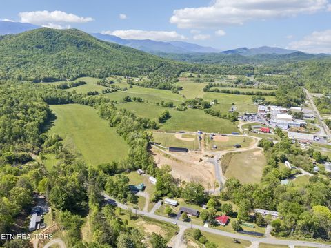 Tiny photo for 123 Greasy Cove Rd, Cosby, TN 37722 (MLS # 1338465)