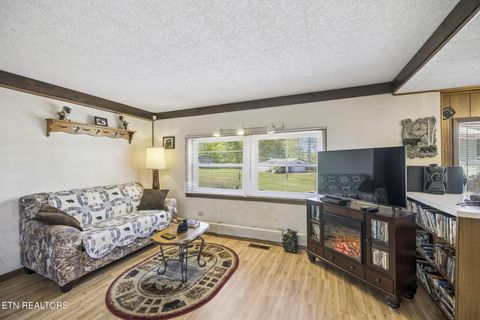 Tiny photo for 123 Greasy Cove Rd, Cosby, TN 37722 (MLS # 1338465)