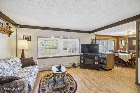 Tiny photo for 123 Greasy Cove Rd, Cosby, TN 37722 (MLS # 1338465)