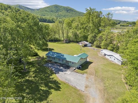 Tiny photo for 123 Greasy Cove Rd, Cosby, TN 37722 (MLS # 1338465)