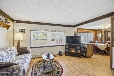 Tiny photo for 123 Greasy Cove Rd, Cosby, TN 37722 (MLS # 1338465)