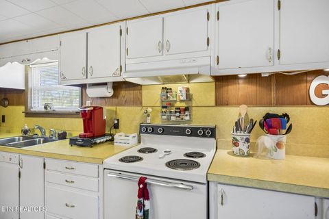 Tiny photo for 123 Greasy Cove Rd, Cosby, TN 37722 (MLS # 1338465)