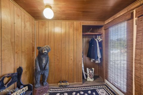 Tiny photo for 123 Greasy Cove Rd, Cosby, TN 37722 (MLS # 1338465)