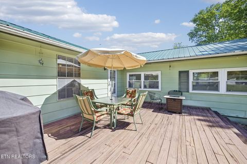 Tiny photo for 123 Greasy Cove Rd, Cosby, TN 37722 (MLS # 1338465)