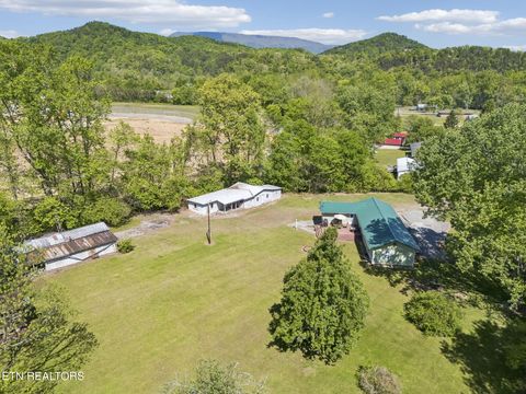 Tiny photo for 123 Greasy Cove Rd, Cosby, TN 37722 (MLS # 1338465)