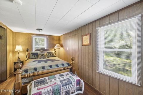 Tiny photo for 123 Greasy Cove Rd, Cosby, TN 37722 (MLS # 1338465)