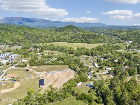 Tiny photo for 123 Greasy Cove Rd, Cosby, TN 37722 (MLS # 1338465)