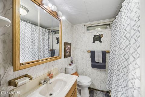Tiny photo for 123 Greasy Cove Rd, Cosby, TN 37722 (MLS # 1338465)