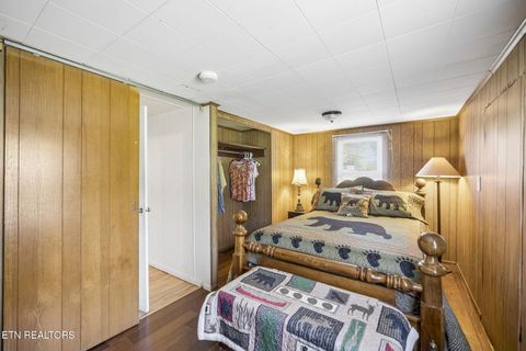 Tiny photo for 123 Greasy Cove Rd, Cosby, TN 37722 (MLS # 1338465)
